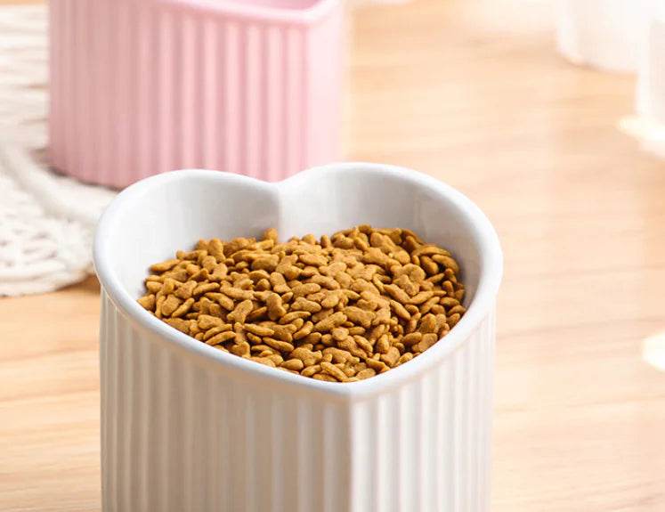 Ceramic Pet Bowl with Slanted Design for Cats - FurryJoyPets