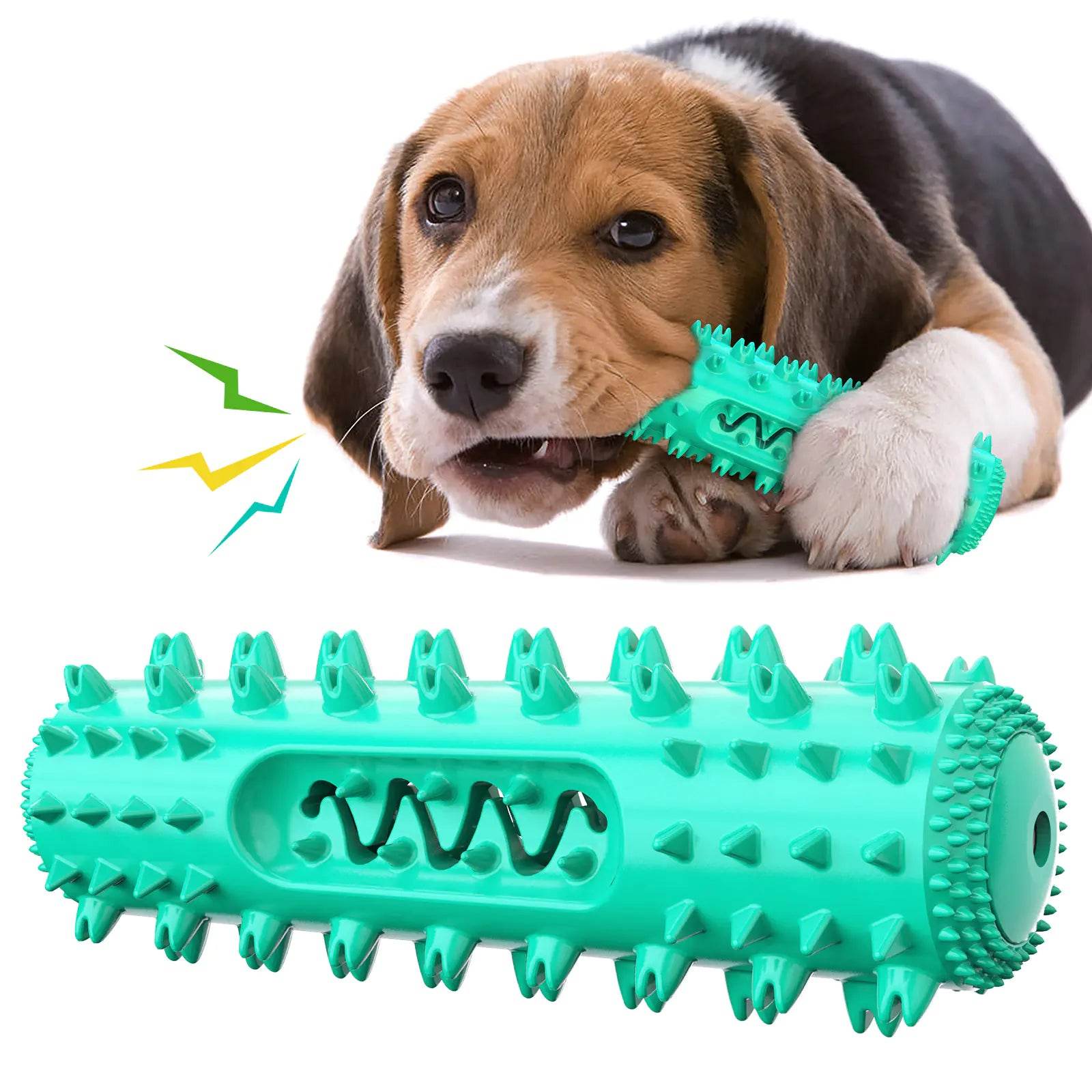 Amazon Pet Chew Toothbrush and Dental Ball Toy - FurryJoyPets