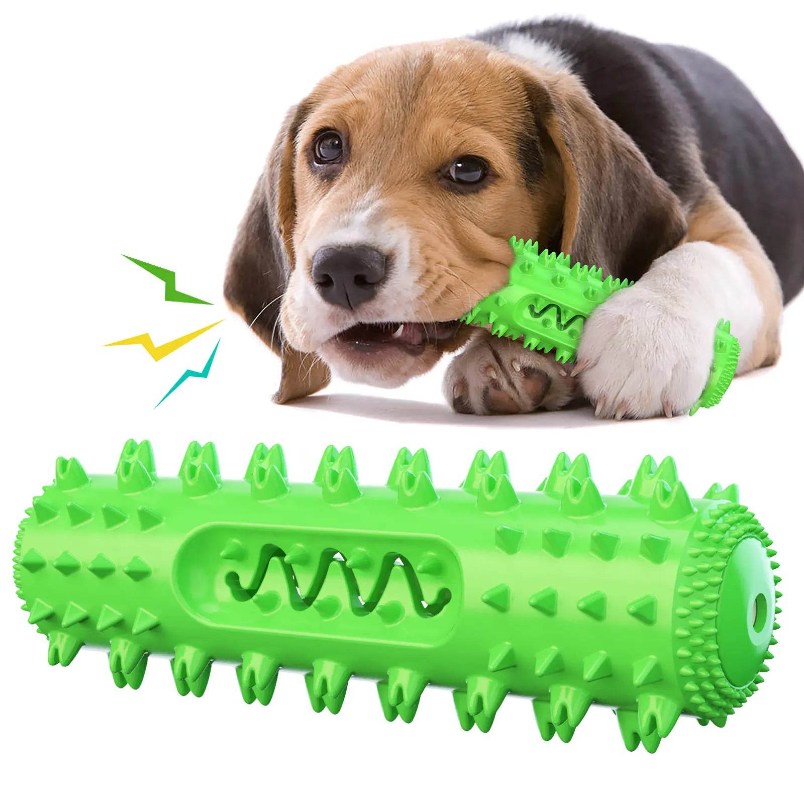 Amazon Pet Chew Toothbrush and Dental Ball Toy - FurryJoyPets