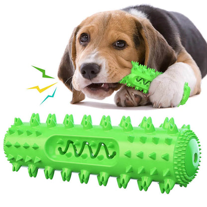 Amazon Pet Chew Toothbrush and Dental Ball Toy - FurryJoyPets