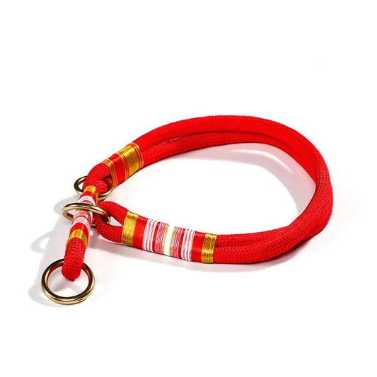 Anti-Breaking Loose Collar with Dog Hand Rope - FurryJoyPets