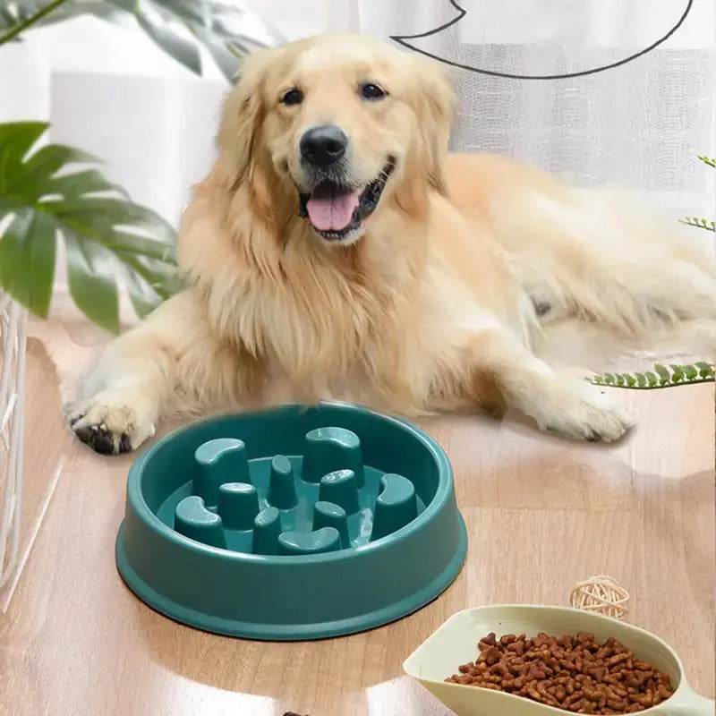 Petal-Shaped Slow Feed Dog Puzzle Bowl - Anti-Slip - FurryJoyPets
