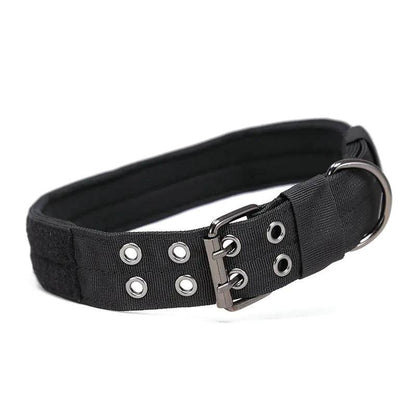 Medium and Large Dog Collar - Adjustable and Durable - FurryJoyPets