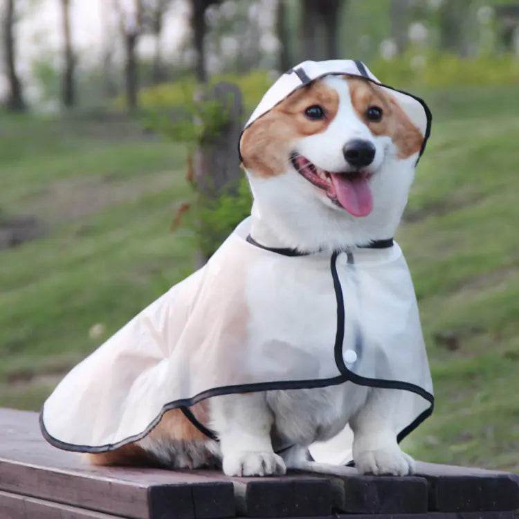TPU Dog Raincoat for Small Breeds - In Stock - FurryJoyPets