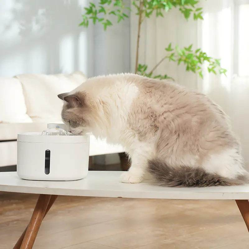 Smart Pet Wireless Water Dispenser with Stainless Steel Bowl - FurryJoyPets
