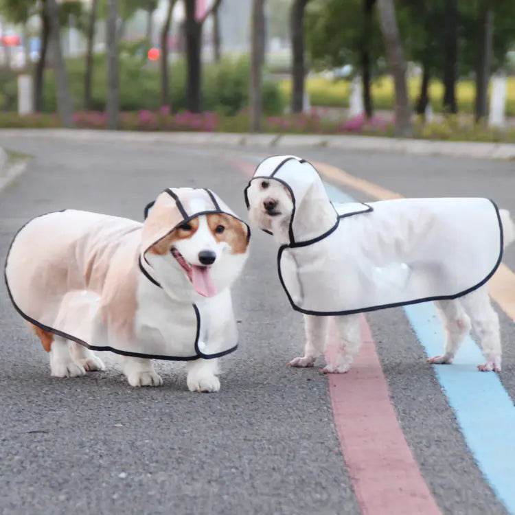 TPU Dog Raincoat for Small Breeds - In Stock - FurryJoyPets