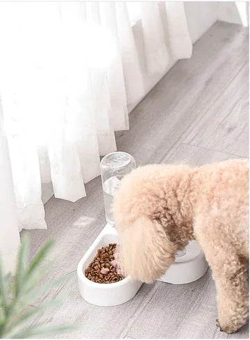 Dual-Use Cat and Dog Double Bowl with Non-Wet Design - FurryJoyPets