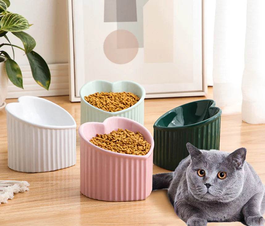 Ceramic Pet Bowl with Slanted Design for Cats - FurryJoyPets