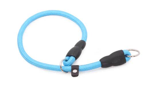 Durable Nylon Dog Training Collar for All Breeds (Single) - FurryJoyPets
