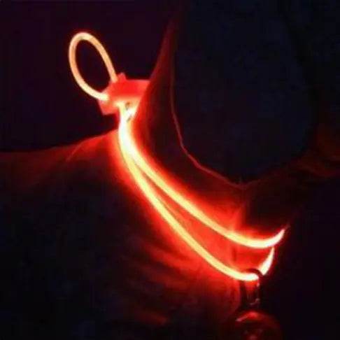 Luminous Dog Strap Pendant Collar - FurryJoyPets