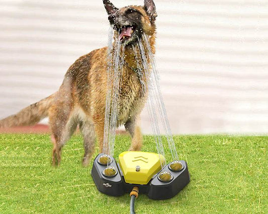 Automatic Drinking Fountain for Cats and Dogs - FurryJoyPets