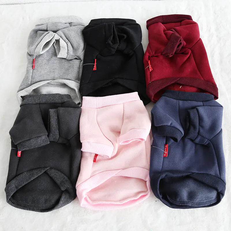 Multicolor Fruit Print Sweatshirt for Pets - FurryJoyPets