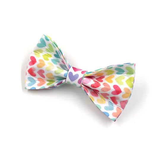 Pet Collar, Leash, Bow, and Trash Bag Set - FurryJoyPets